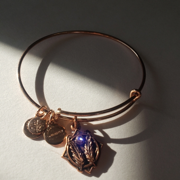 Alex and Ani Women's Godspeed II ROG Bracelet, Shiny Rose Gold, - Picture 7 of 9